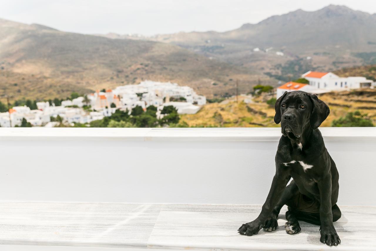 Imarkellis Boutique Villas Pánormos エクステリア 写真